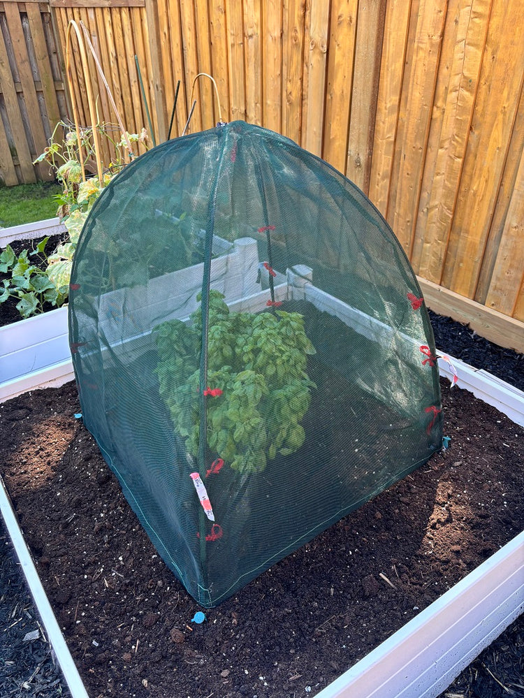 Animal & Bug Guard Cover 36" x 36" x 38" - 2 Pack