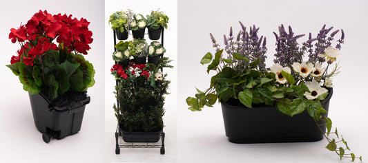 How to get an early start on your garden