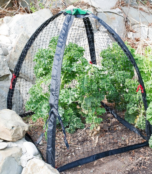 Folding Pest Control Cover 25" x 25" x 27"